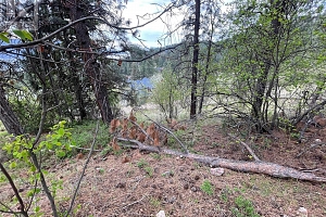 554 Bluebird Drive - Photo 20