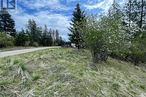 554 Bluebird Drive - Photo 26