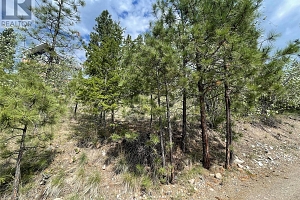 554 Bluebird Drive - Photo 67