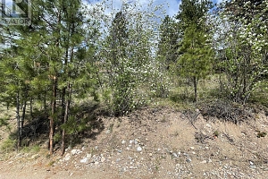 554 Bluebird Drive - Photo 68