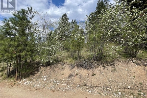 554 Bluebird Drive - Photo 69