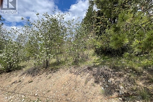 554 Bluebird Drive - Photo 70
