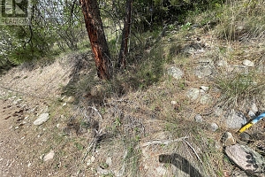 554 Bluebird Drive - Photo 73