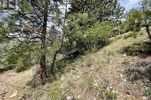 554 Bluebird Drive - Photo 74