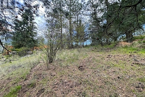 554 Bluebird Drive - Photo 8