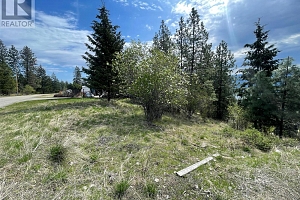 554 Bluebird Drive - Photo 9