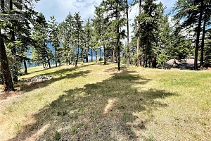 110 Russell Road - Photo 46