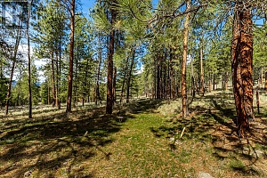 6015 Ottley Road - Photo 10