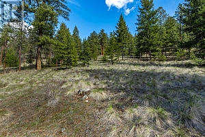 6015 Ottley Road - Photo 11