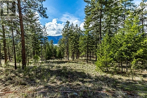 6015 Ottley Road - Photo 12