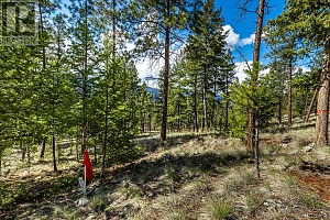 6015 Ottley Road - Photo 13