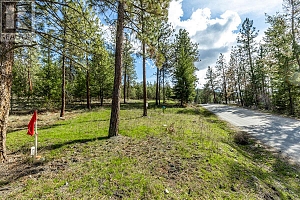 6015 Ottley Road - Photo 3