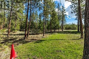 6015 Ottley Road - Photo 4