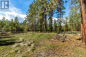 6015 Ottley Road - Photo 8