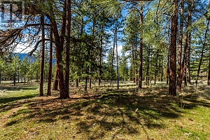 6015 Ottley Road - Photo 9