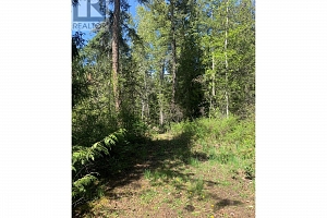 Lot A Squilax-Anglemont Road - Photo 4