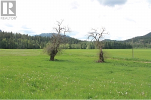 1984 Lumby Mabel Lake Road - Photo 11