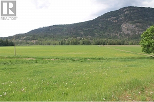 1984 Lumby Mabel Lake Road - Photo 12
