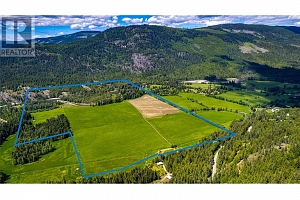 1984 Lumby Mabel Lake Road - Photo 2