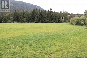 1984 Lumby Mabel Lake Road - Photo 23