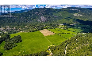 1984 Lumby Mabel Lake Road - Photo 29