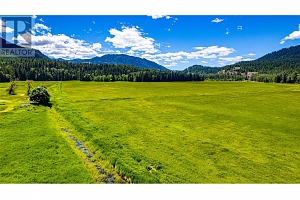 1984 Lumby Mabel Lake Road - Photo 36
