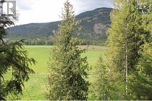 1984 Lumby Mabel Lake Road - Photo 9