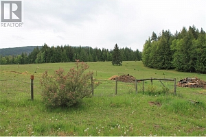 2301 Lumby Mabel Lake Road Lot# 1 - Photo 18