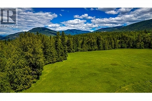 2301 Lumby Mabel Lake Road Lot# 1 - Photo 2