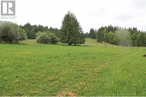 2301 Lumby Mabel Lake Road Lot# 1 - Photo 26