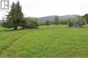 2301 Lumby Mabel Lake Road Lot# 1 - Photo 27