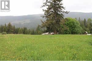 2301 Lumby Mabel Lake Road Lot# 1 - Photo 28