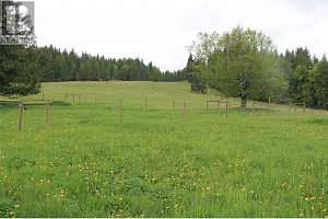 2301 Lumby Mabel Lake Road Lot# 1 - Photo 29