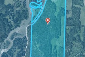 2301 Lumby Mabel Lake Road Lot# 1 - Photo 35