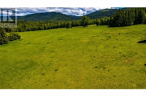 2301 Lumby Mabel Lake Road Lot# 1 - Photo 44