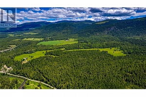 2301 Lumby Mabel Lake Road Lot# 1 - Photo 53