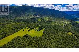 2301 Lumby Mabel Lake Road Lot# 1 - Photo 56