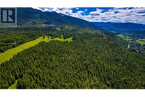 2301 Lumby Mabel Lake Road Lot# 1 - Photo 59