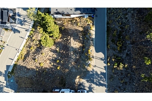 3340 Black Pine Lane - Photo 14