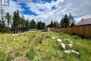 701 Fairbridge Road - Photo 10