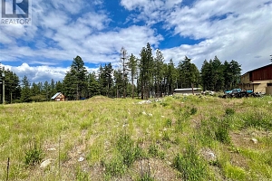 701 Fairbridge Road - Photo 9