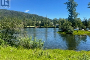 2736 Enderby Mabel Lake Road - Photo 10