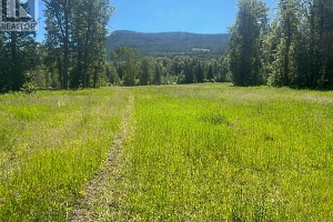 2736 Enderby Mabel Lake Road - Photo 11