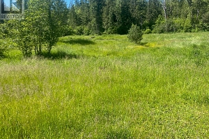 2736 Enderby Mabel Lake Road - Photo 12