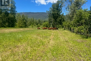 2736 Enderby Mabel Lake Road - Photo 14