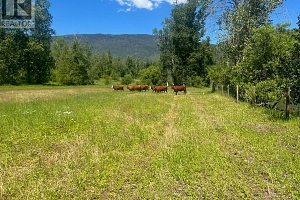 2736 Enderby Mabel Lake Road - Photo 15