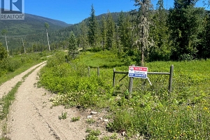 2736 Enderby Mabel Lake Road - Photo 5