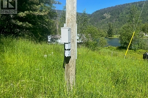 2736 Enderby Mabel Lake Road - Photo 6