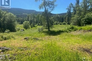 2736 Enderby Mabel Lake Road - Photo 9