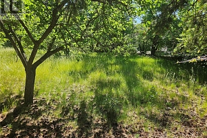 305 & 295 Clarissa Road - Photo 8